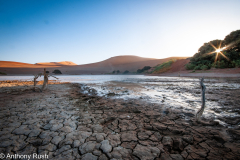Sossusvlei Mornings