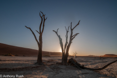 Deadvlei, Sossusvlei