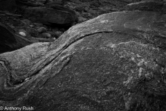 Rock Art in the Fish Rover Canyon