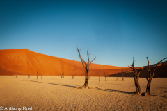 Deadvlei