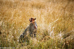 Africa-Trip-2004-205